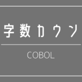 文字数カウントの仕方を解説する（COBOL解説）関数を使う