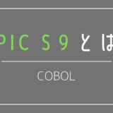 COBOL S9とは？「Z」「V」「,」についても解説