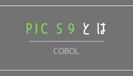 COBOL S9とは？「Z」「V」「,」についても解説