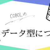 COBOLのデータ型について解説